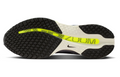 Nike Pegasus Premium 'Photon Dust / Metallic Silver / Black'